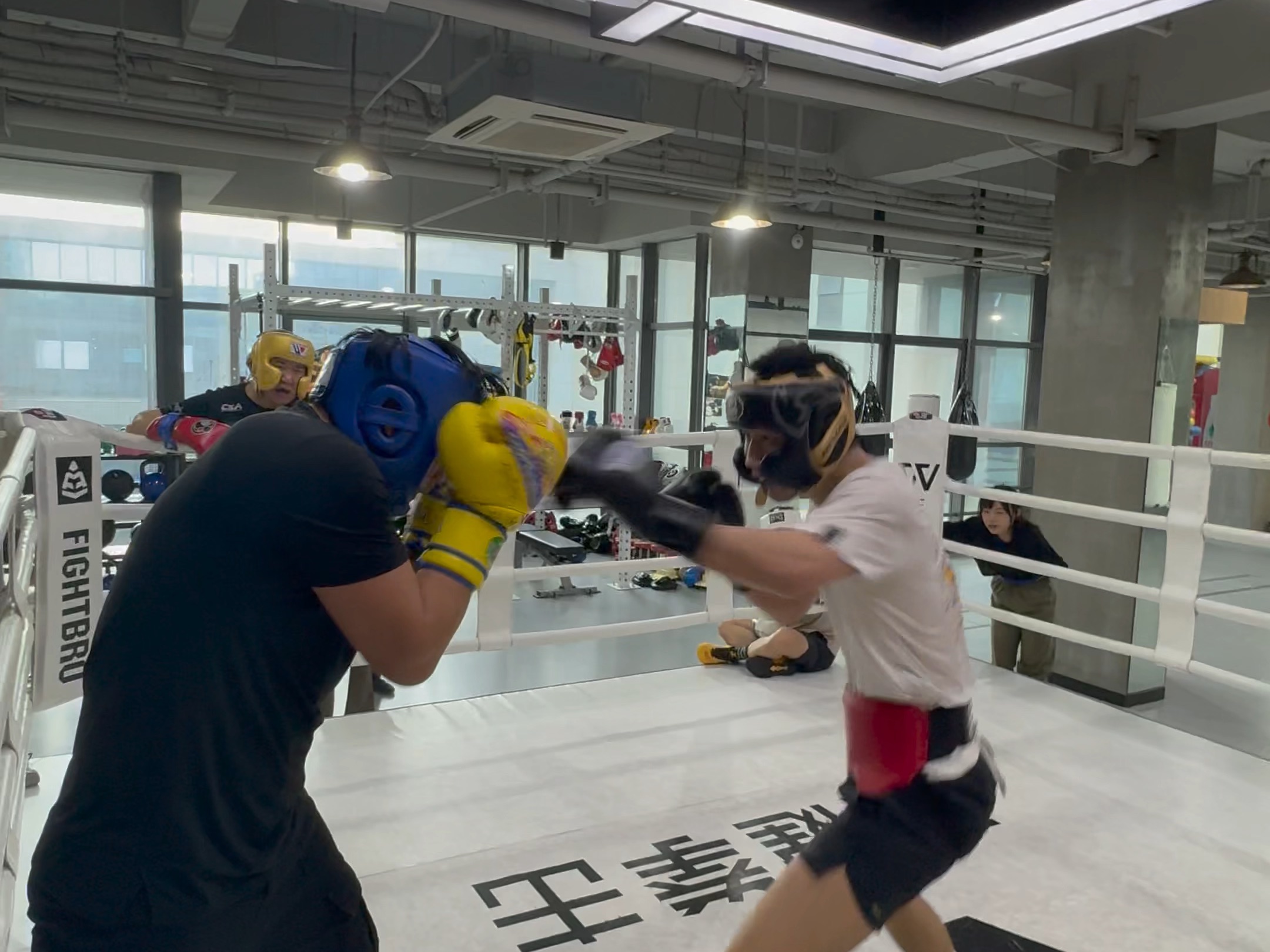 备战重要比赛，教练团队展开严密训练