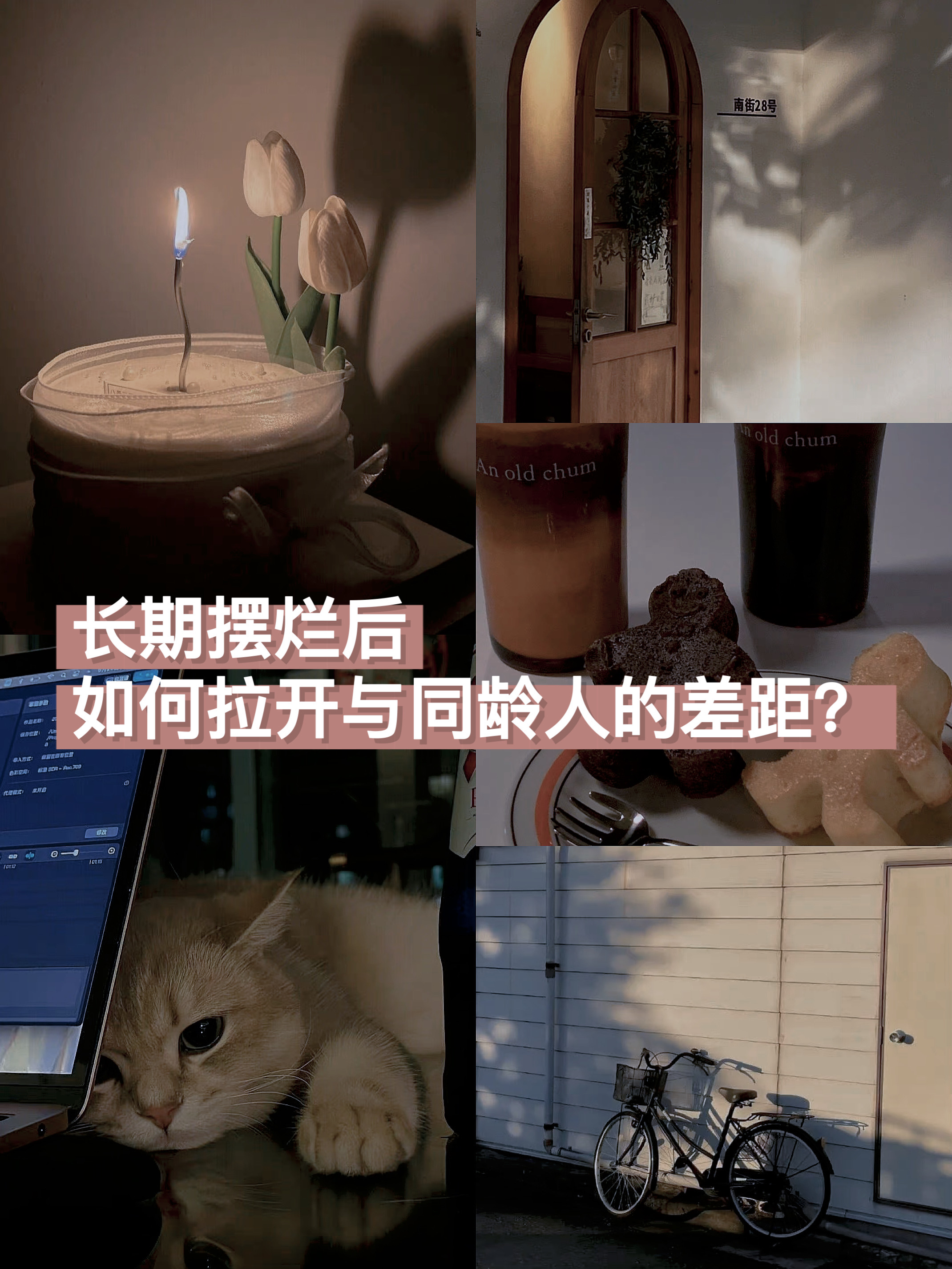 激烈较量决胜负,每个狙击手都执行得井井有条的简单介绍 激烈较量决胜负,每个狙击手都执行得井井有条的简单介绍