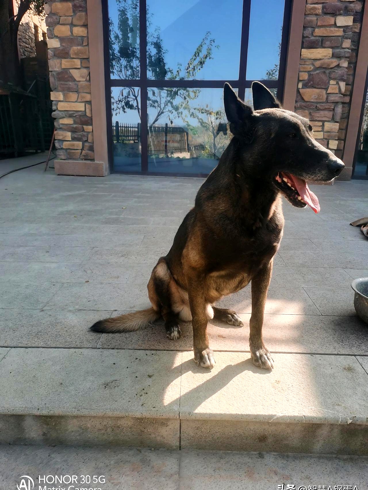 福建队不敌新疆飞虎，遭遇失败的简单介绍