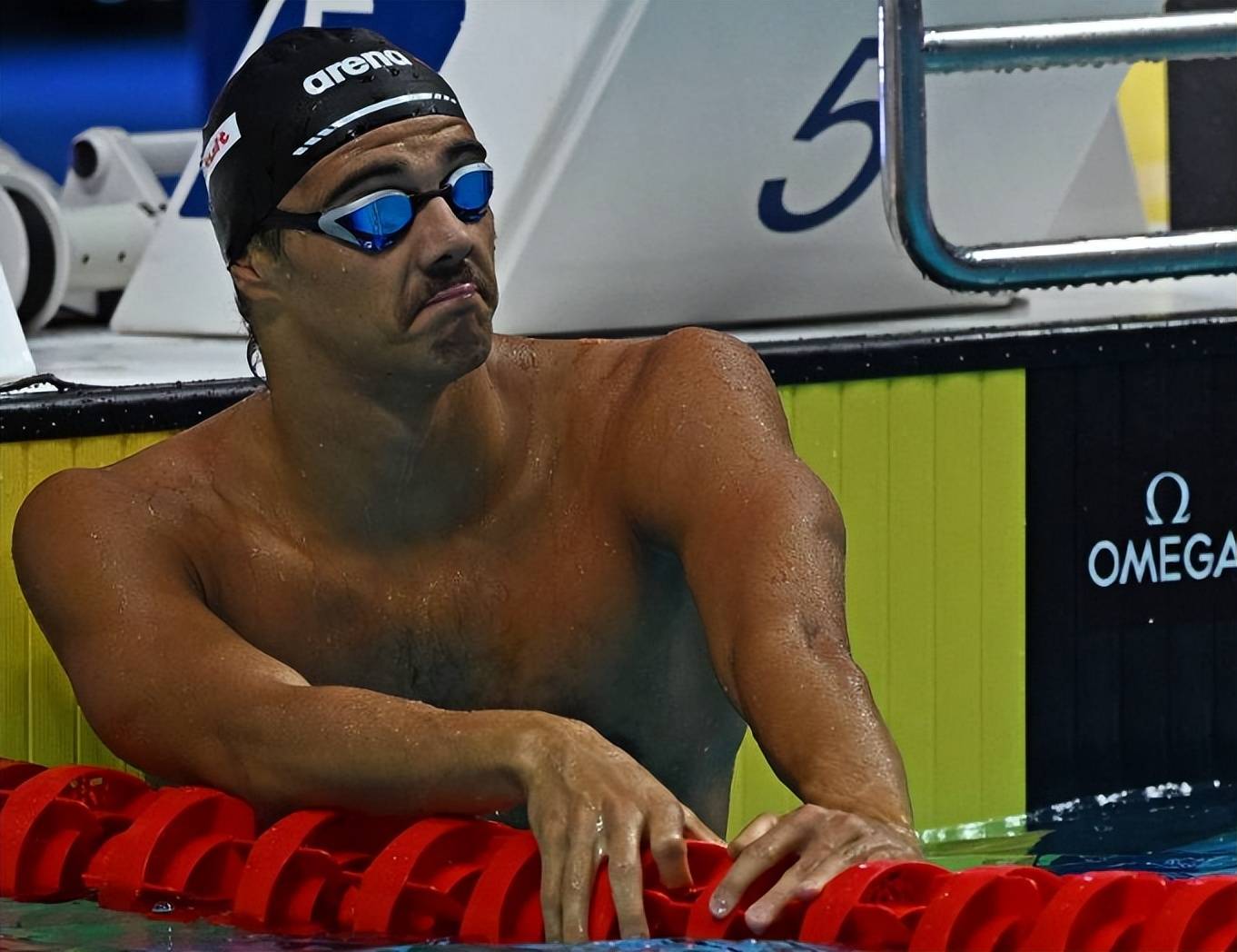 荷兰游泳选手在自由泳赛中获得优异成绩