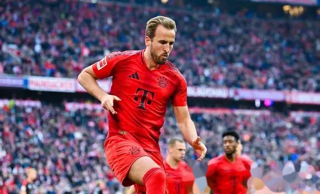 英格兰绝杀意大利队,凯恩帽子戏法意甲的简单介绍 英格兰绝杀意大利队,凯恩帽子戏法意甲的简单介绍