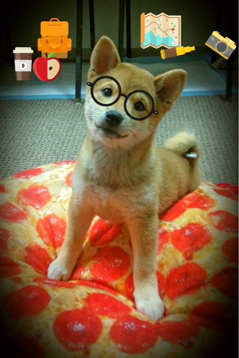 勒沃库森收割苏格兰，从凯尔特人公园到拜耳竞技场的基因移植，努涅斯如何成为关键先生