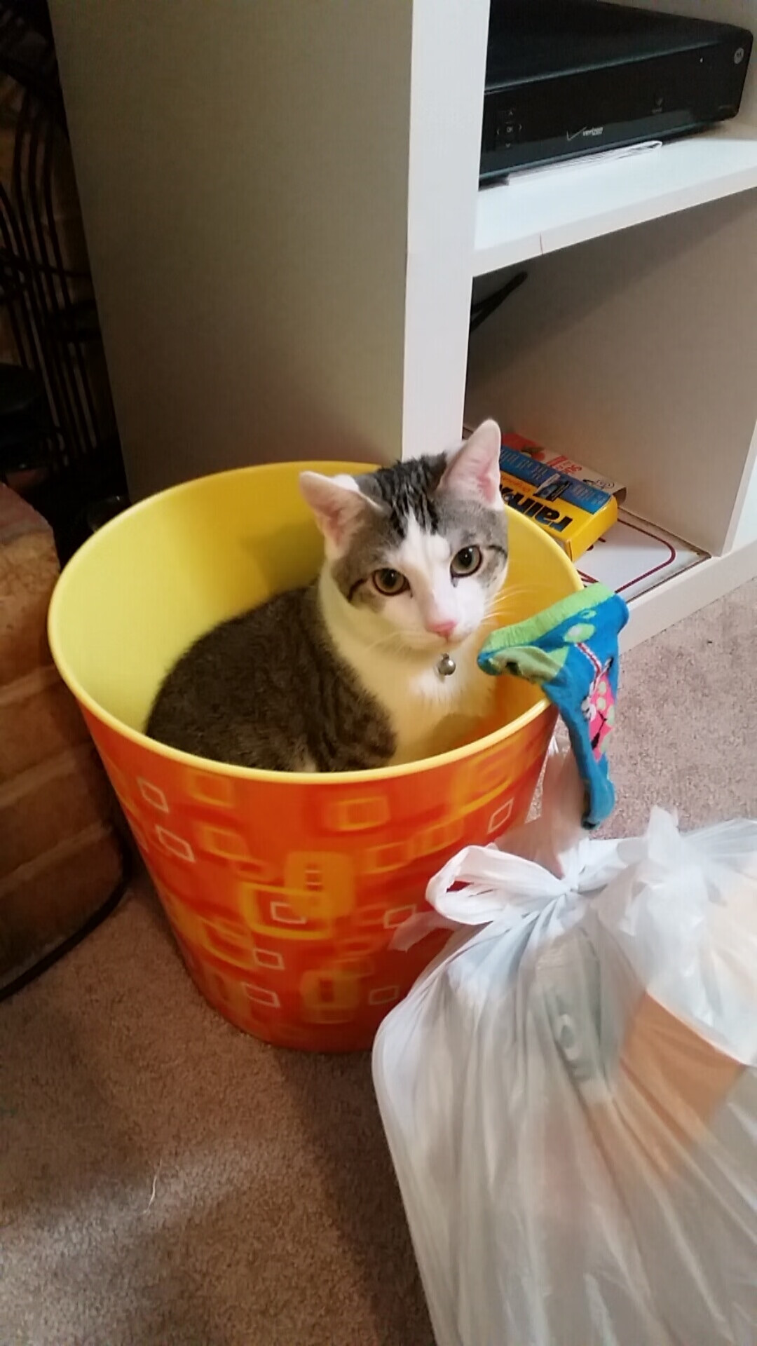 欧冠之夜,当猛龙强压太阳—一场决定性的战术绞杀