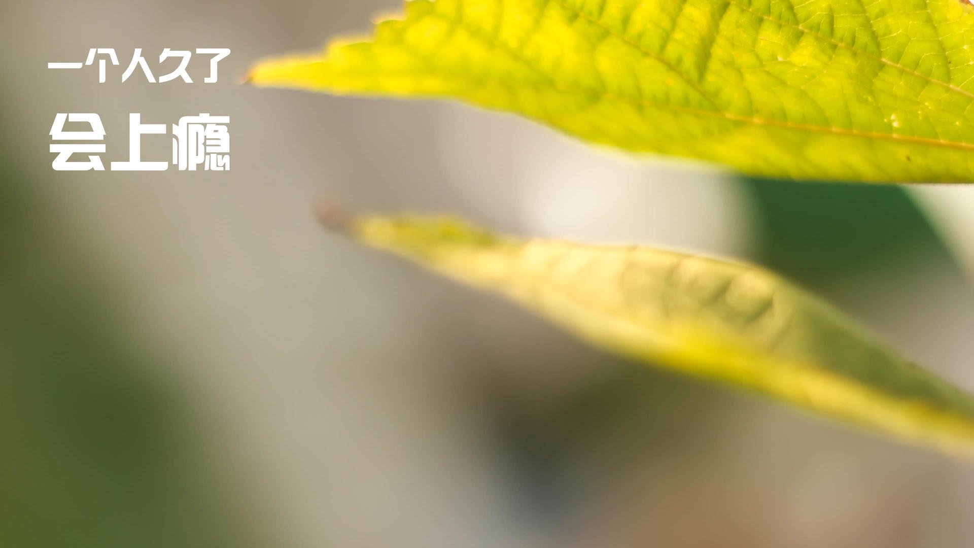 李刚仁末节爆发定乾坤，威尔士生死战力克韩国展韧性