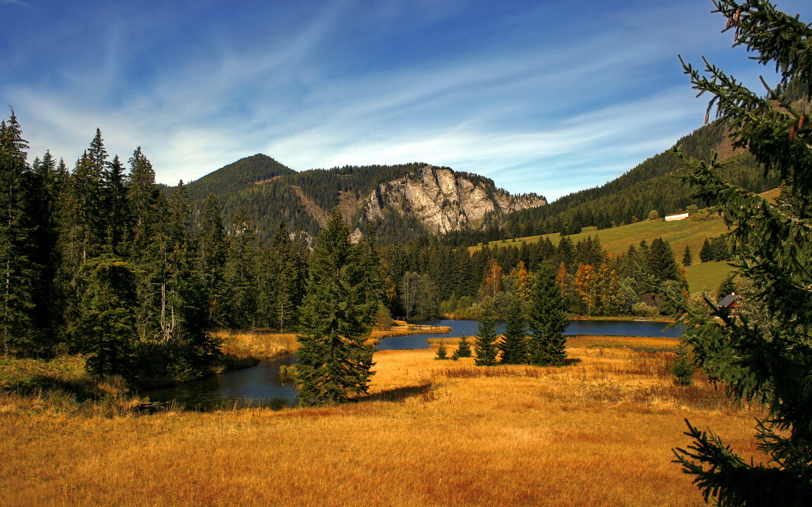 波兰踏平厄瓜多尔,本泽马冠军级表现点燃足球之夜