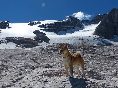 铁闸与奇迹，门迪一夫当关，西班牙豪门冷拒药厂狂潮