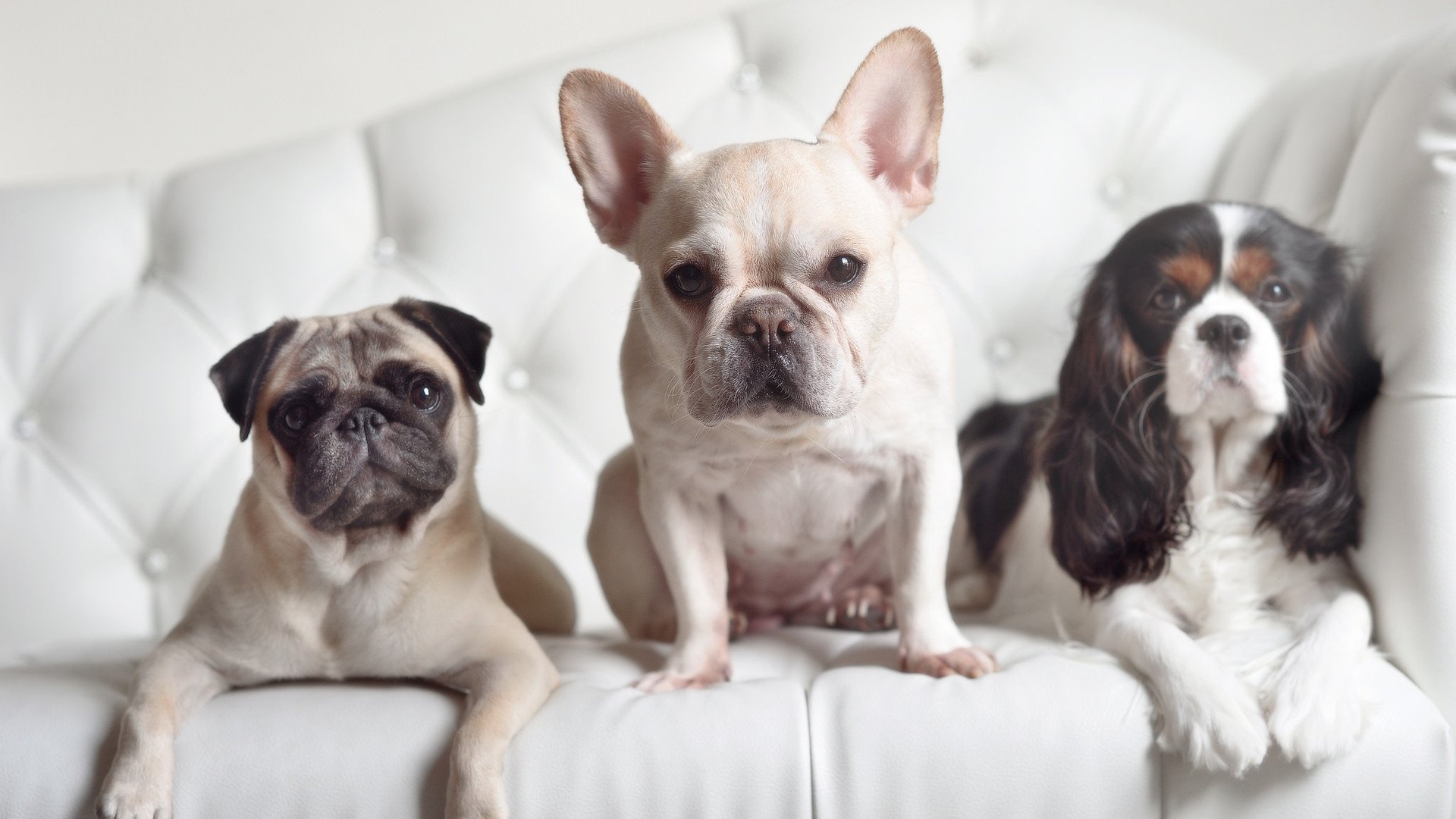 双星闪耀夜，76人加时鏖战力克骑士，克莱狂暴演出创生涯纪录