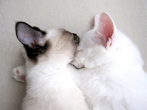 末节19分弑旧主！乔治在焦点战兑现天赋，快船找到争冠最后拼图