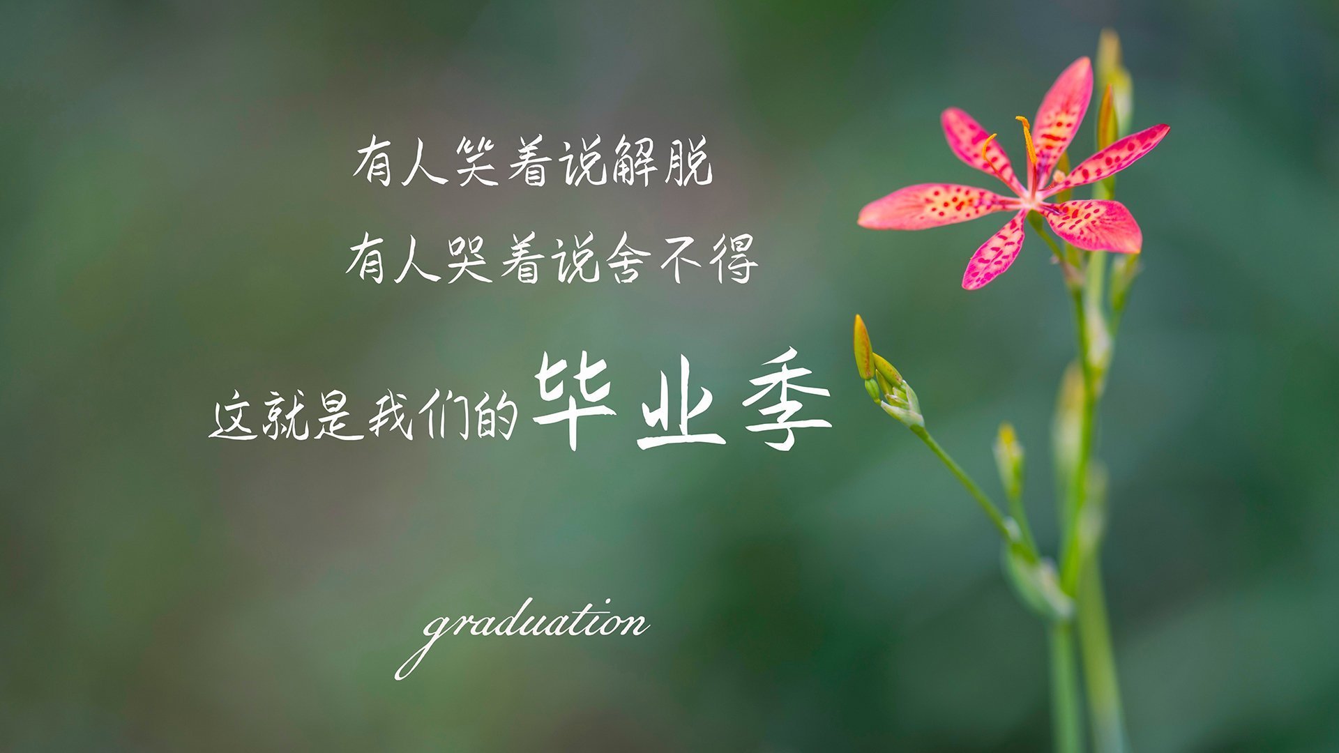 关键战夜,莫兰特用满分表现书写奥运门票