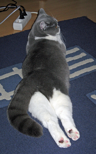 红色浪潮吞没红魔,迪亚斯末节神迹诠释何为真正的马竞精神