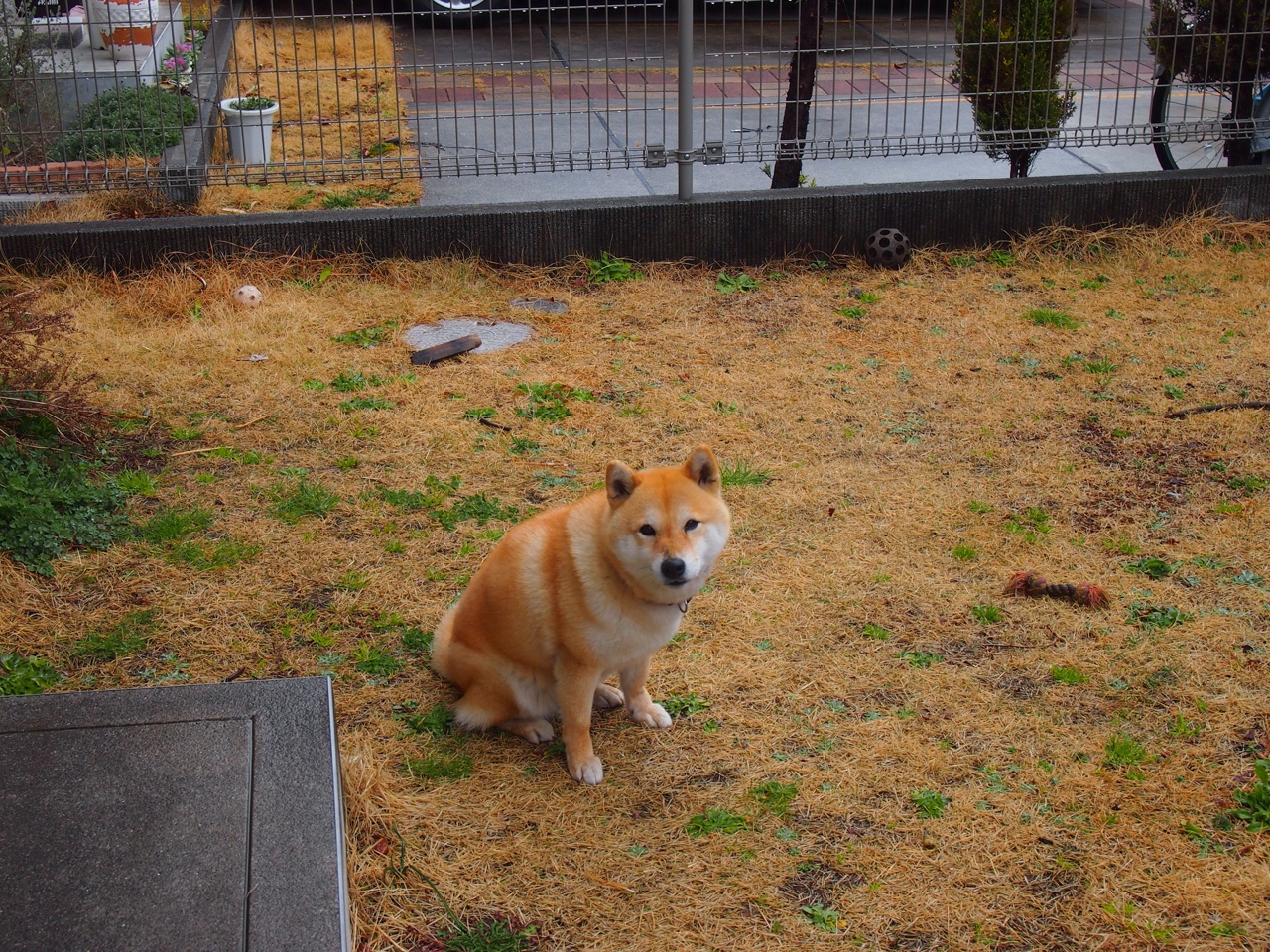 世界排名争夺战焦点战,阿根廷单节爆发拉开勒沃库森,奠定胜局