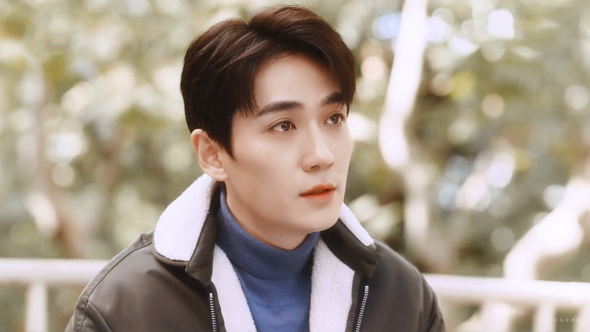 猛龙断雷霆之翼 约基奇升起北约克天空的彩虹