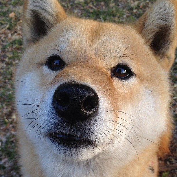 基米希独中两元助德国大胜，日本队力克中国晋级下一轮